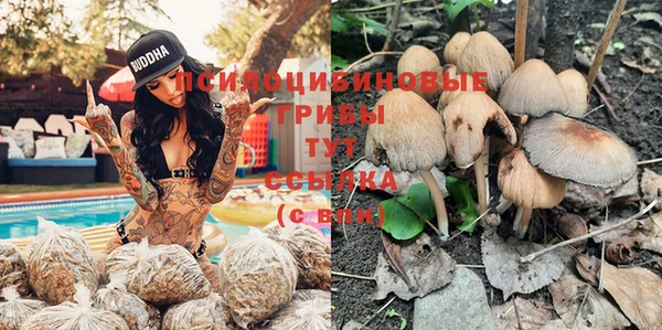 соль ск Арсеньев