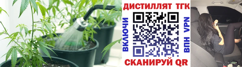 где можно купить   Урюпинск  нарко площадка формула  Дистиллят ТГК жижа 