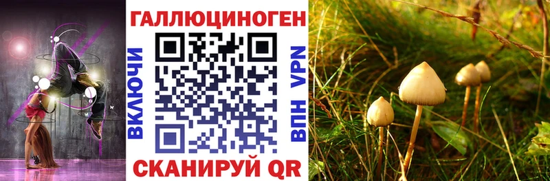 Галлюциногенные грибы Cubensis  мега сайт  Урюпинск  где купить наркоту 